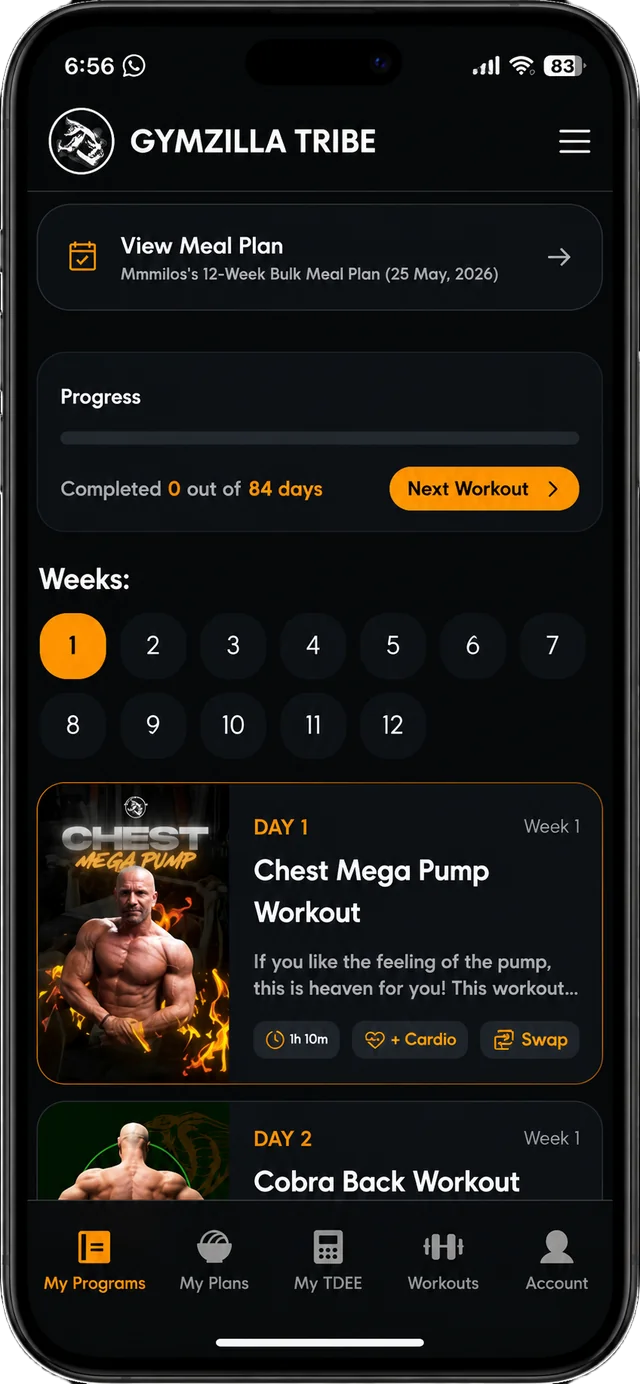 GymZilla program preview 1
